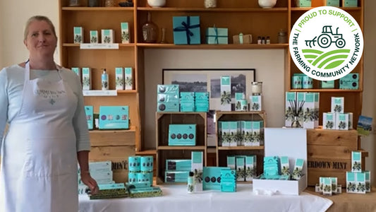 Launching our limited edition 'Fair' offers