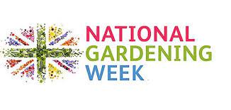Find joy in your garden