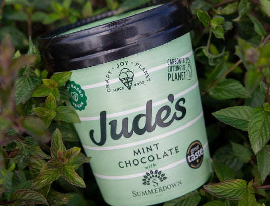 Jude's icecream launches Mint Chocolate icecream