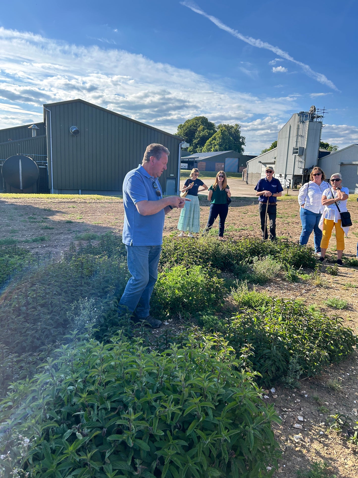 Summerdown Safari - Register interest