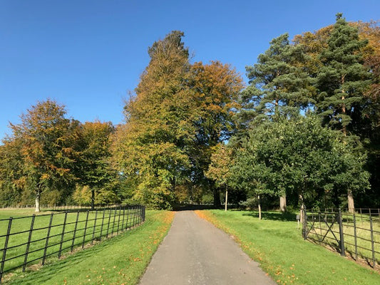 Autumn days on the farm