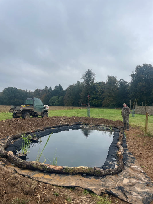 Autumn Meadow watch