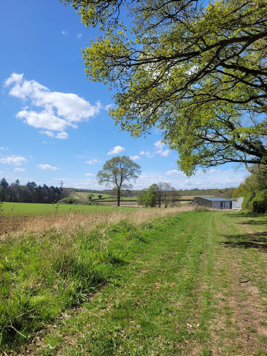 Spring notes from the farm team