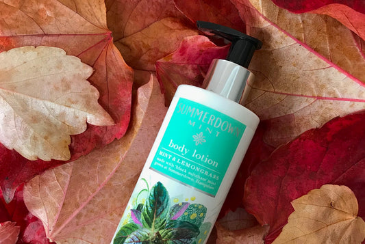 Autumn skin essential