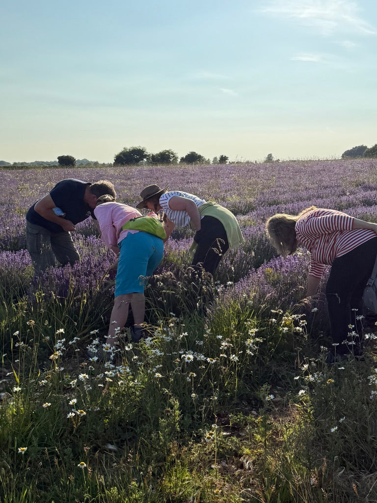 Summerdown Farm Tours 2026