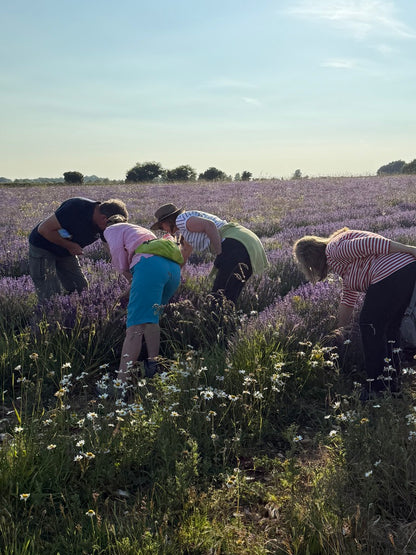 Summerdown Farm Tours 2026