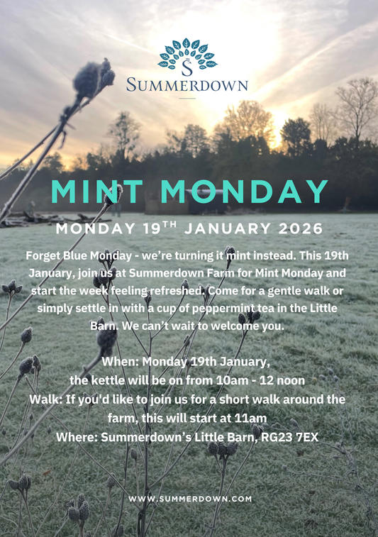 Mint Monday Open Day