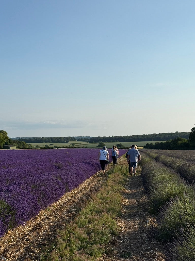 Summerdown Essential Oils