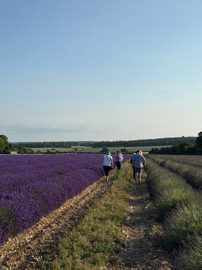 Summerdown Essential Oils