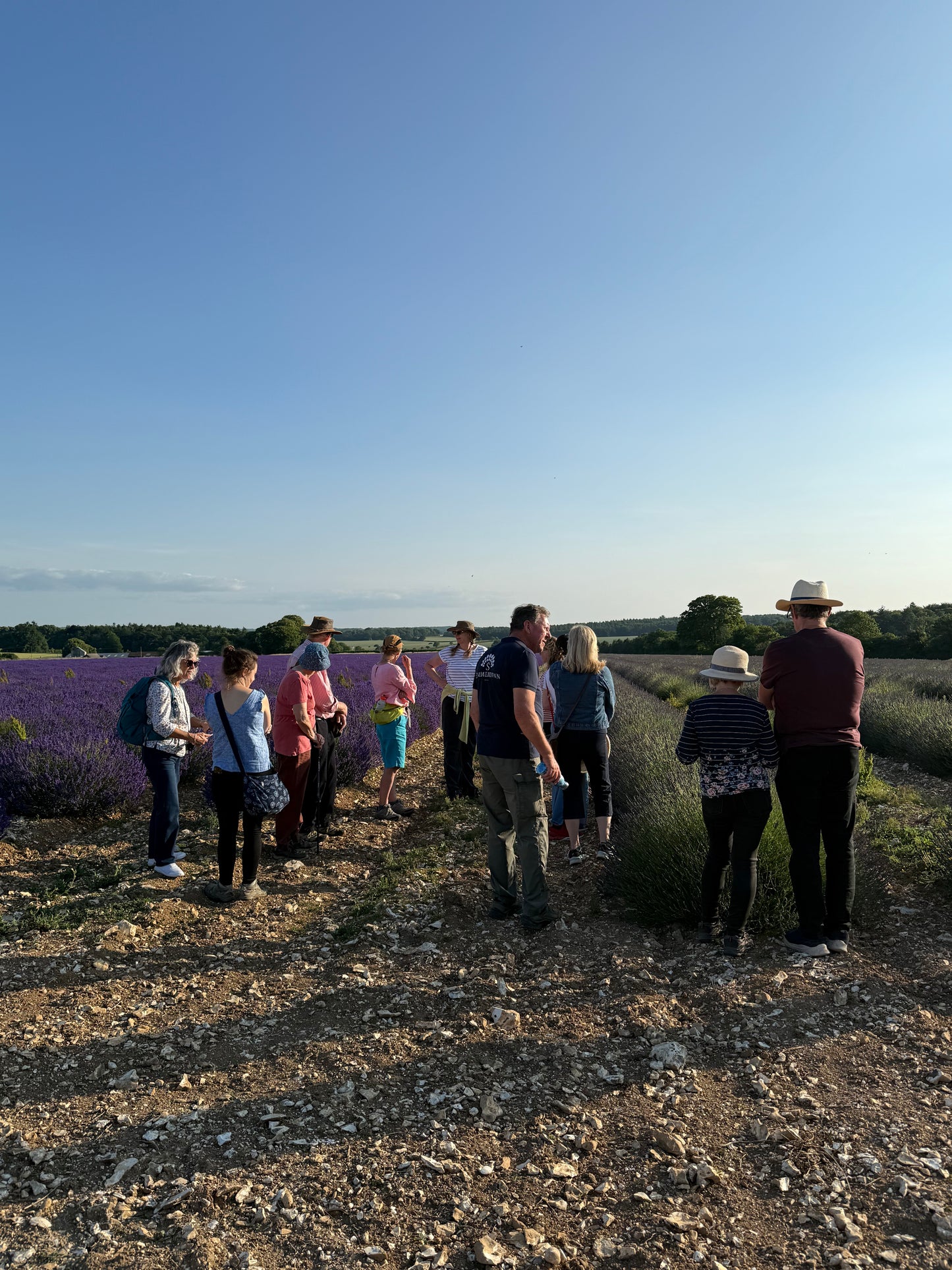 Summerdown Farm Tour - Register interest