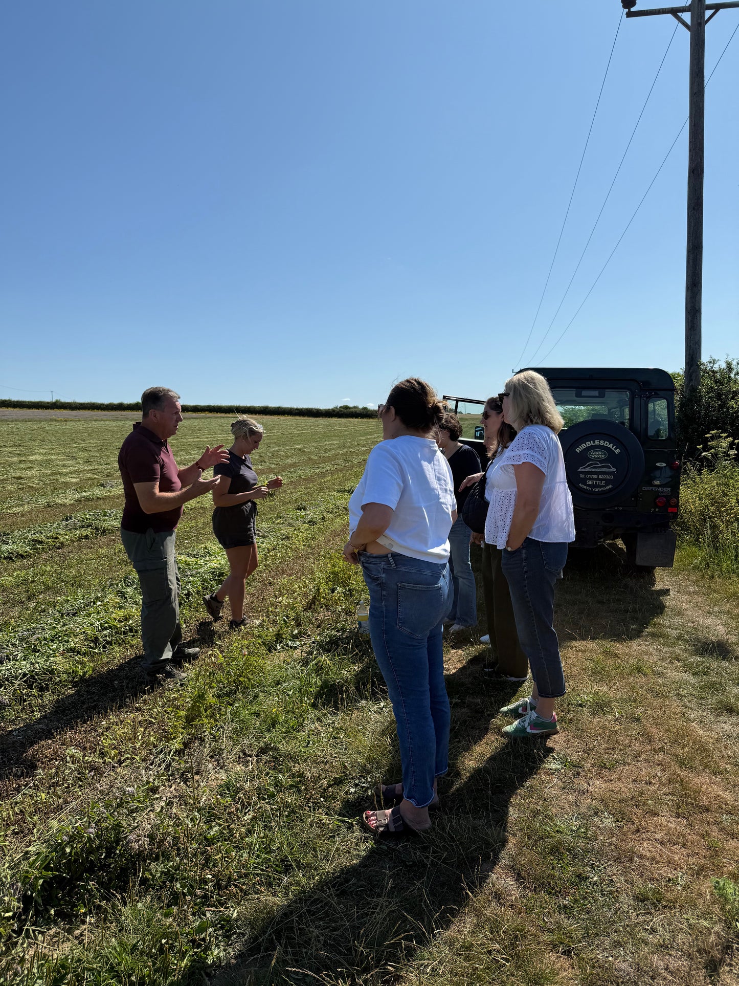 Summerdown Safari - Register interest