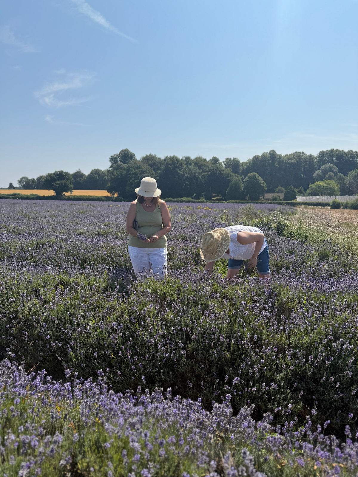 Summerdown Farm Tour- Register interest