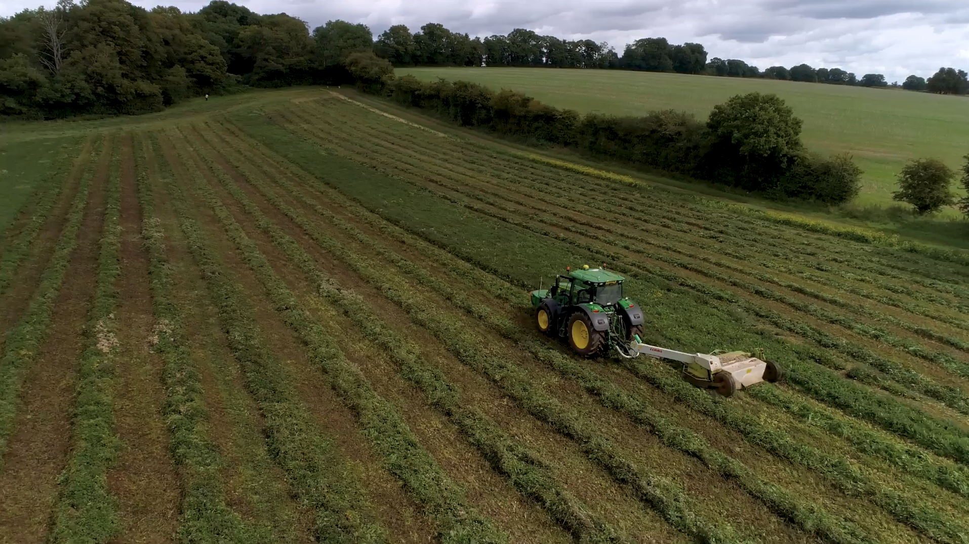 Load video: Tractor in peppermint field