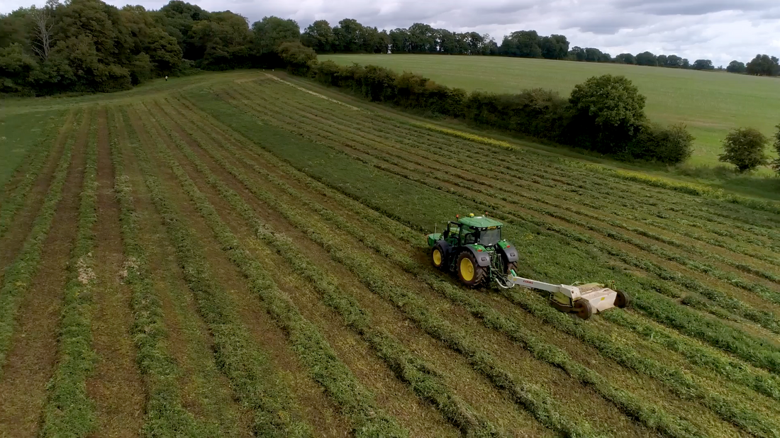 Tractor in peppermint field